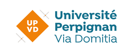 logo-Direction des Systèmes d'Information